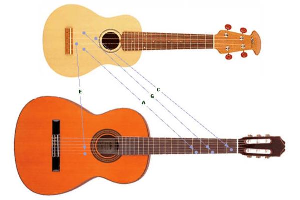 Sự khác biệt giữa đàn Guitar và đàn Ukulele