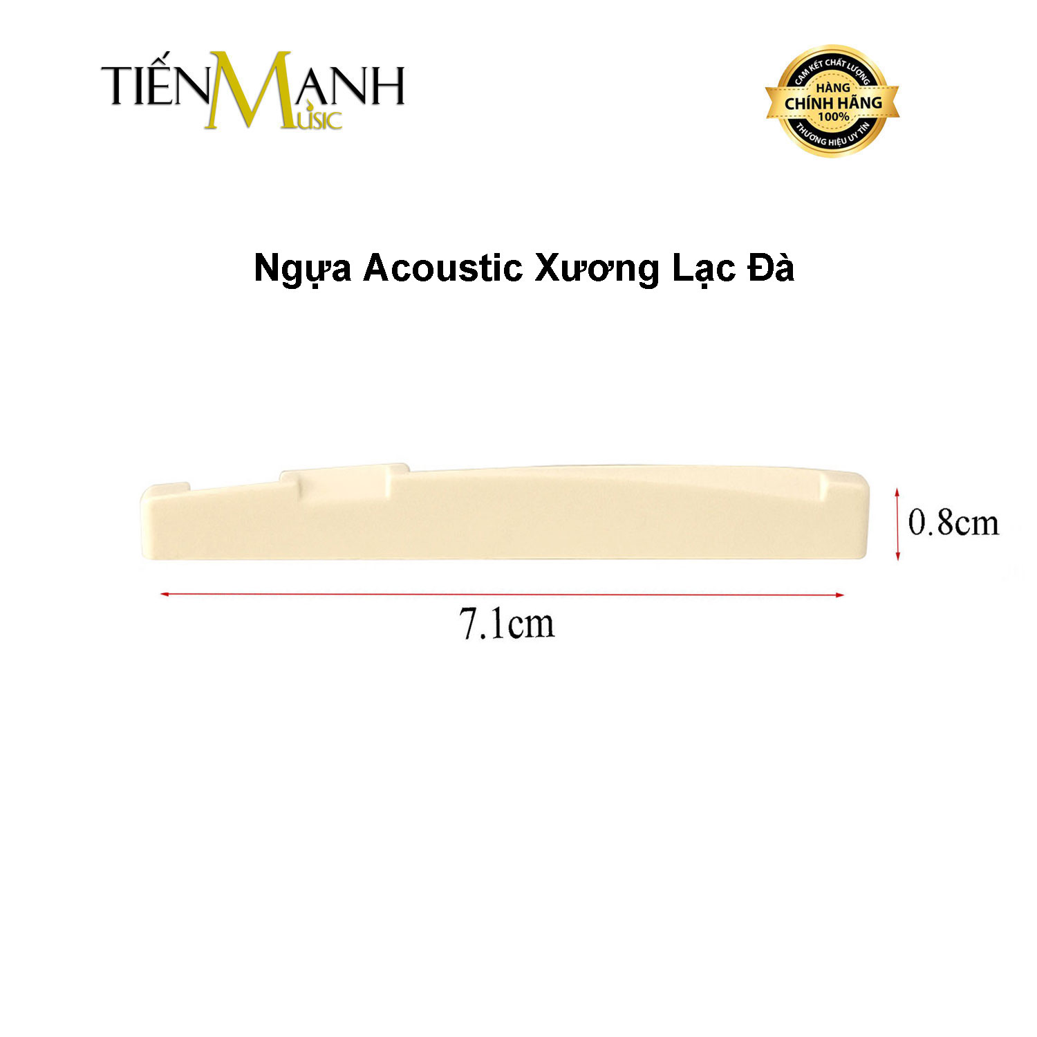 Ngựa Đàn Guitar Acoustic Xương Lạc Đà Camel Bone - Saddle