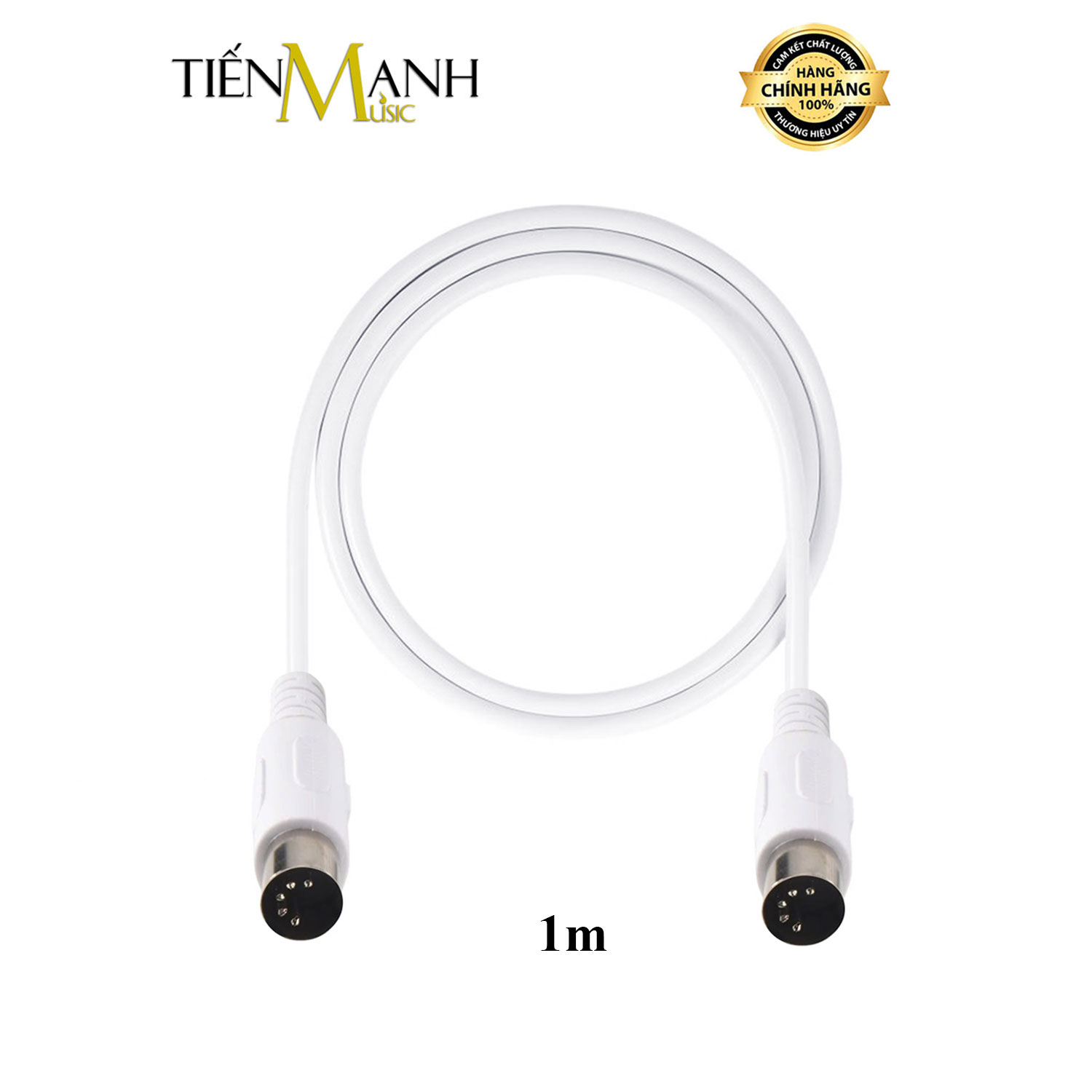 Dây Cáp Midi 2 Đầu Cắm Tròn 5 Chân Dài 1m Wersi UM10-10