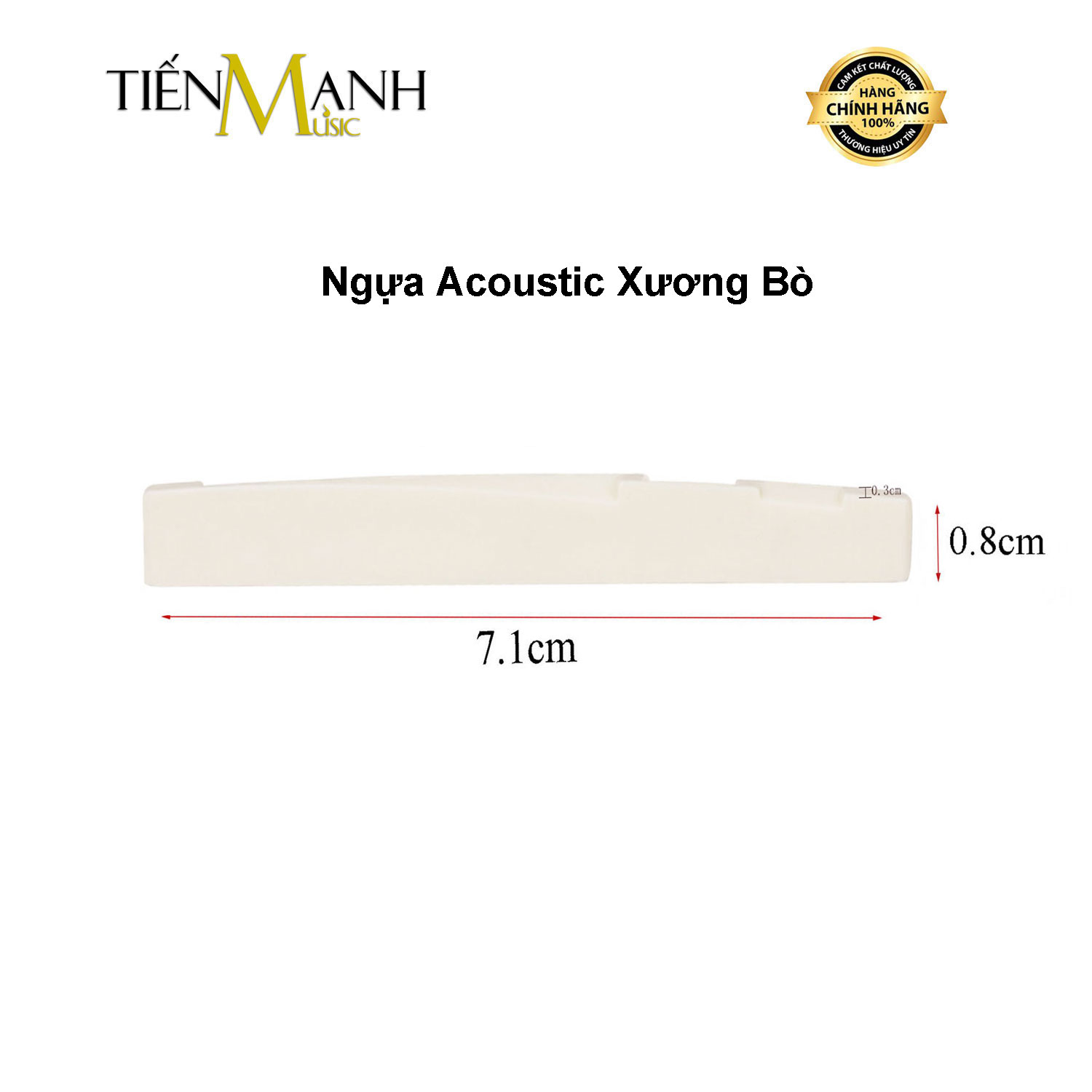 Ngựa Đàn Guitar Acoustic Xương Bò Beef Bone - Saddle