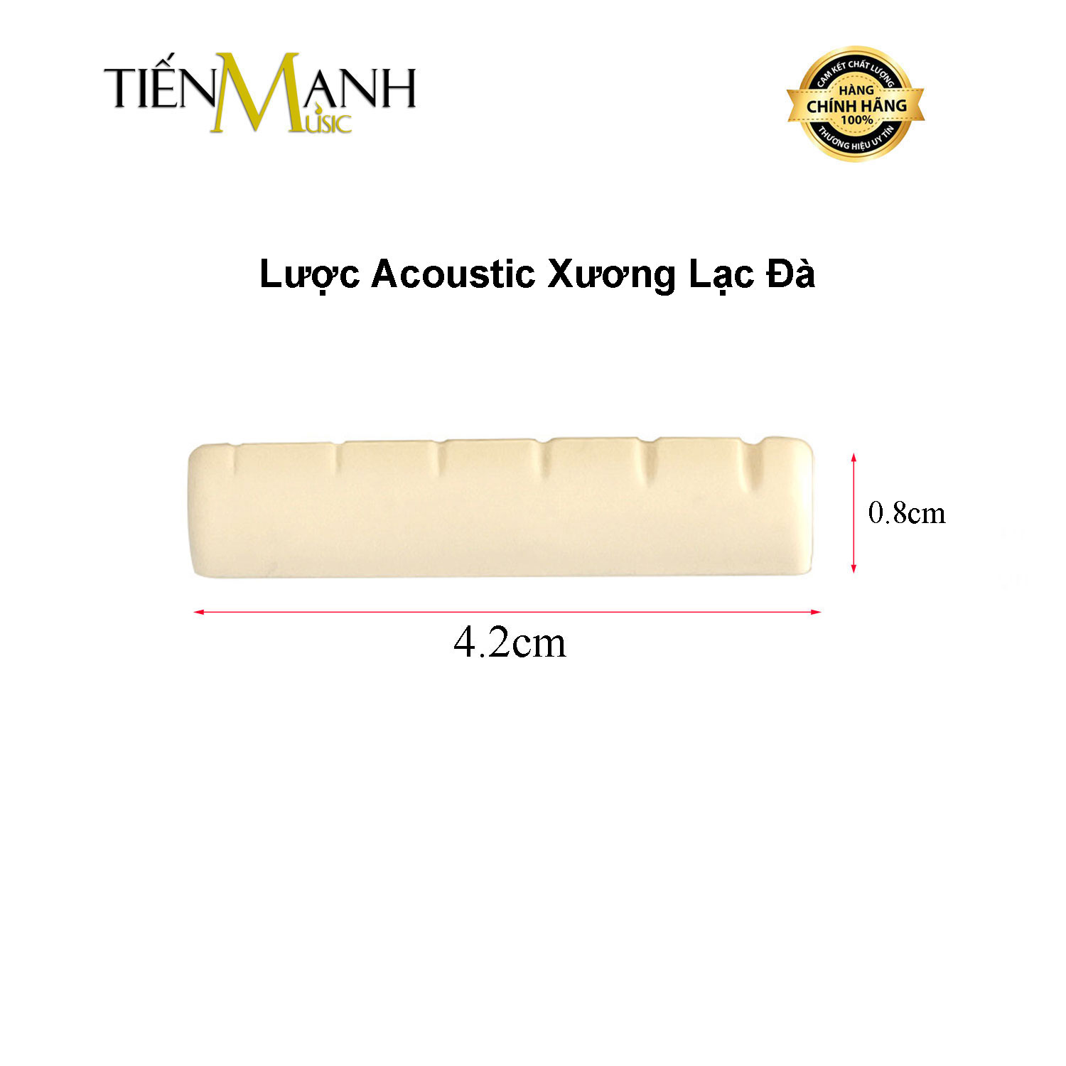 Lược Đàn Guitar Acoustic Xương Lạc Đà Camel Bone - Nut