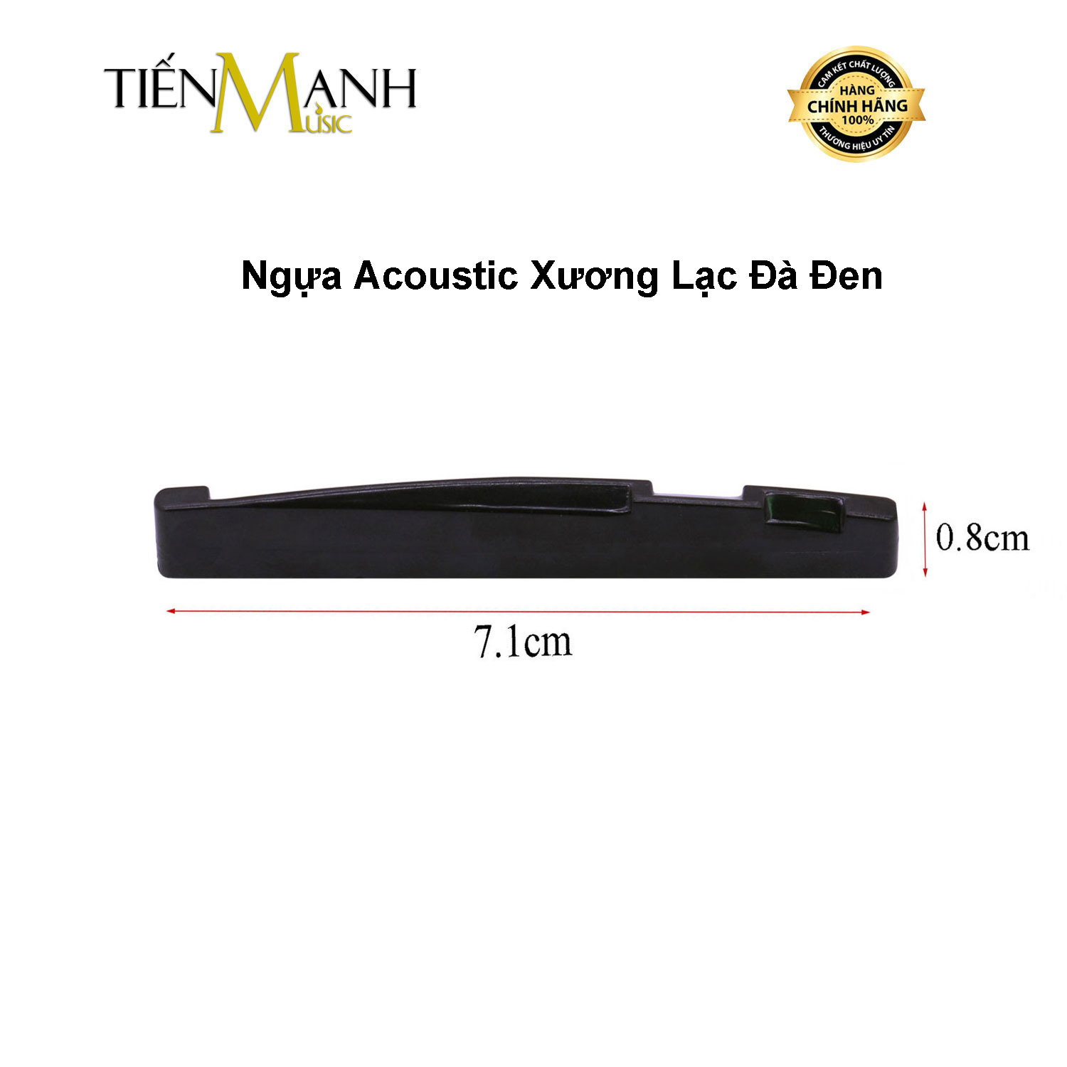 Ngựa Đàn Guitar Acoustic Xương Lạc Đà Camel Bone - Saddle Màu Đen