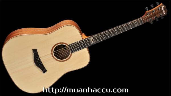 Famosa Acoustic Guitar FD425S