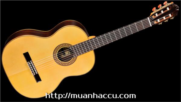Đàn Guitar Classic Famosa FC 30S