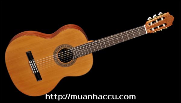 Đàn Guitar Classic Famosa FC 20C/39