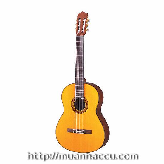 Yamaha Classic Guitar C80