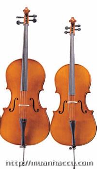Kapok Cello C030