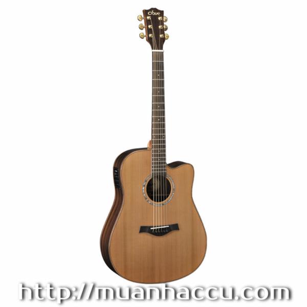 Dove Acousic Guitar DD-280CE