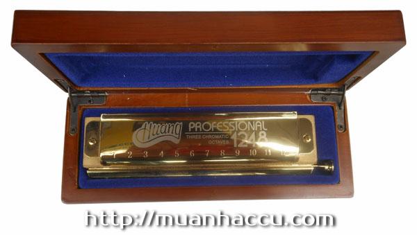 Kèn Harmonica Huang Professional 1248 (Three chromatic octaves, Huang 112-1)