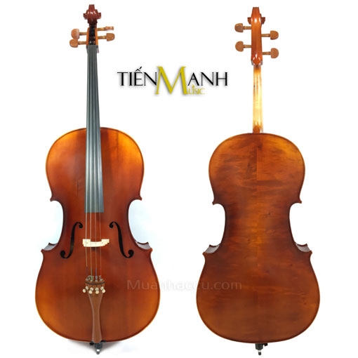 Đàn Cello Scott Guan 140