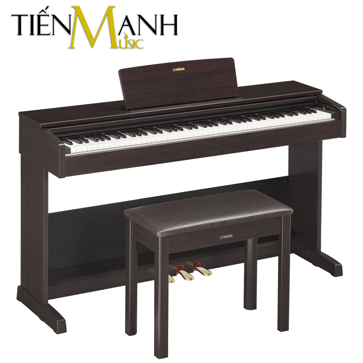 Đàn Piano Điện Yamaha Arius YDP-103R