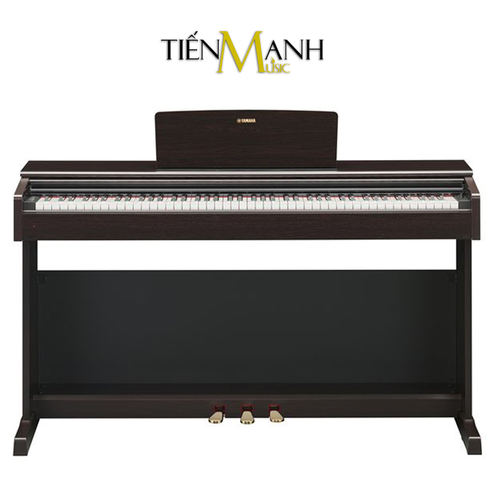 Đàn Piano Điện Yamaha Arius YDP-144R