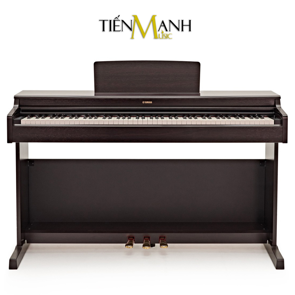 Đàn Piano Điện Yamaha Arius YDP-164R