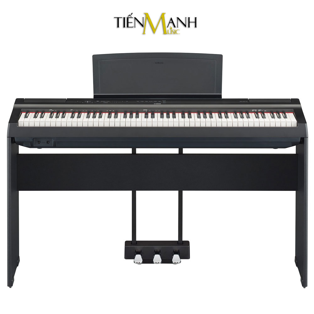 Đàn Piano Điện Yamaha P-125B