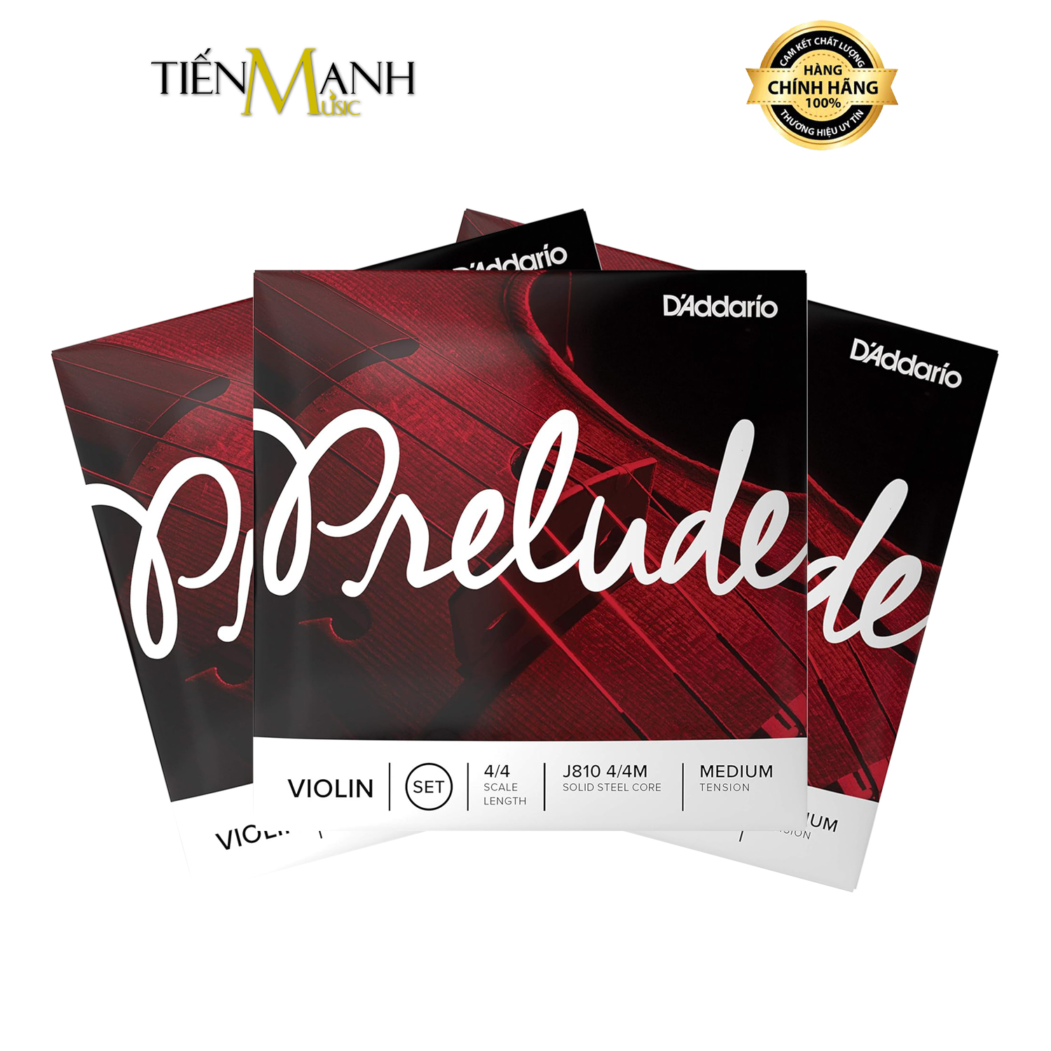 Dây Đàn Violin DAddario J810 Prelude