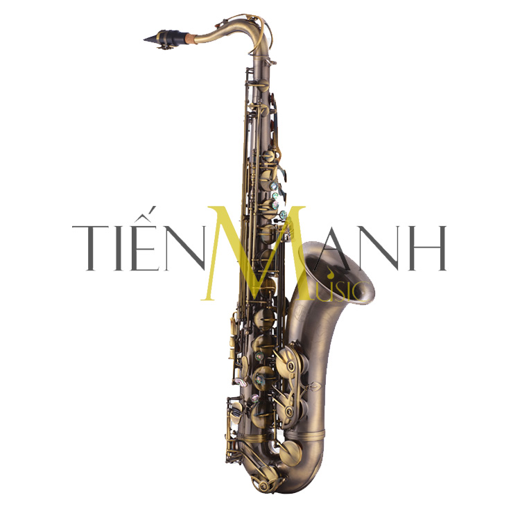 Kèn Alto Saxophone AS130B