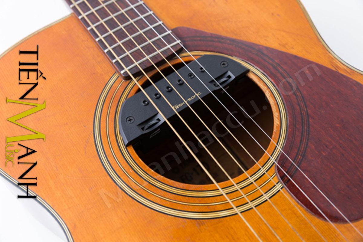 Cach-Lap-Acoustic-Guitar-Pickup-Skysonic-T-903.jpg