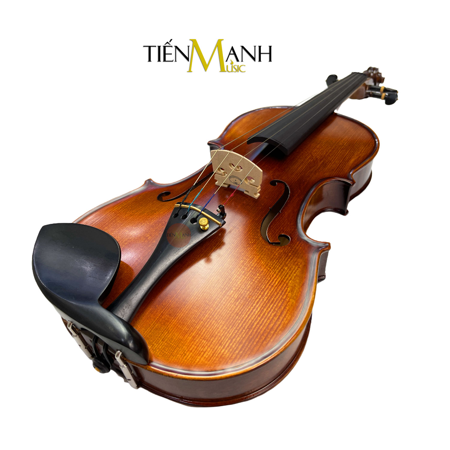 Cach-Su-Dung-Dan-Violin-Amati-Van-Ve-VM118.jpg