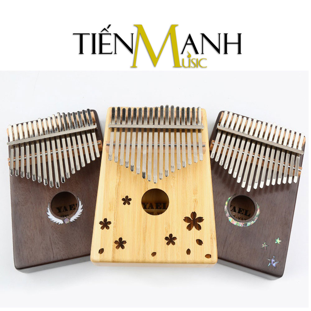 Cach-choi-Dan-Kalimba-Yael-17-Phím-Y17B-F.jpg