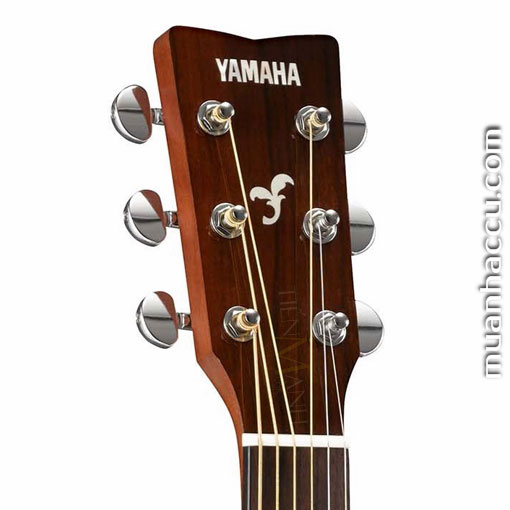 Can-Dan-Guitar-Acoustic-Yamaha-FGX800C.jpg
