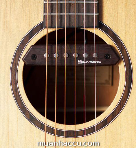 Chi-Tiet-Acoustic-Guitar-Pickup-Skysonic-A-810.jpg