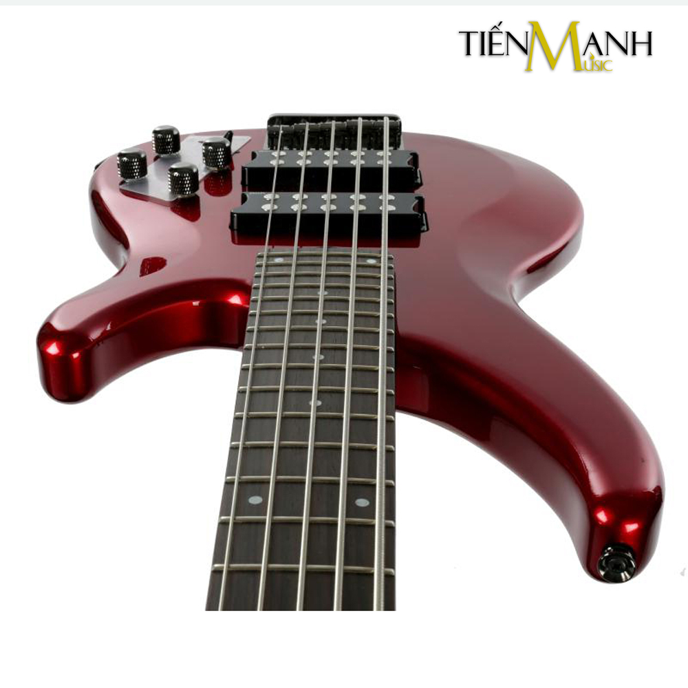 Chinh-hang-Dan-Electric-Bass-Guitar-Yamaha-TRBX305-CAR.jpg