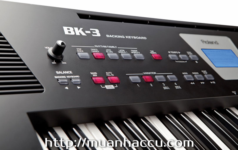 Control-Dan-Organ-Roland-BK-3.jpg