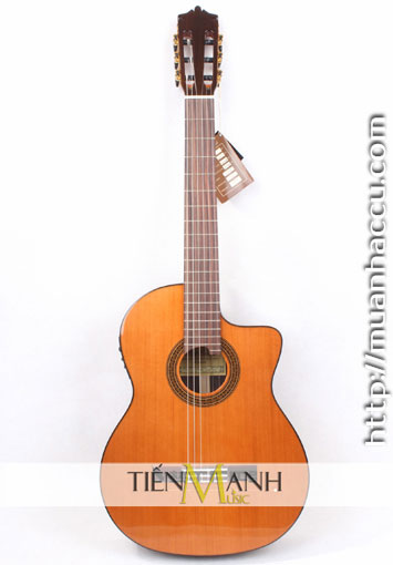 Dan-Guitar-Classic-Martinez-MCG-65C-CE.jpg