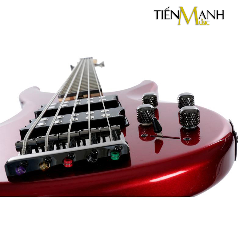 Day-Dan-Electric-Bass-Guitar-Yamaha-TRBX305-CAR.jpg