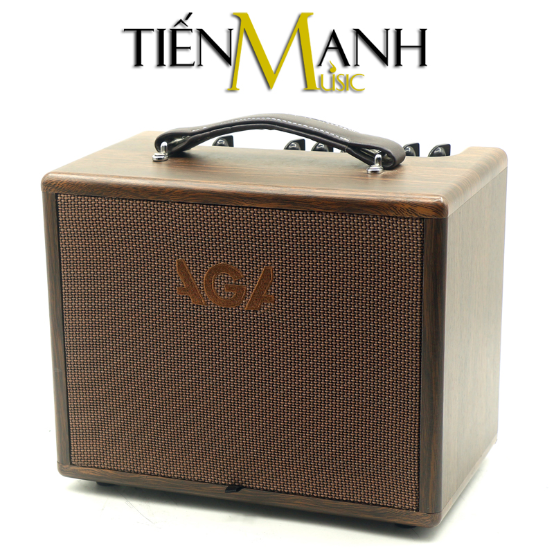 Hong-Ampli-Acoustic-AGA-SC-40.jpg