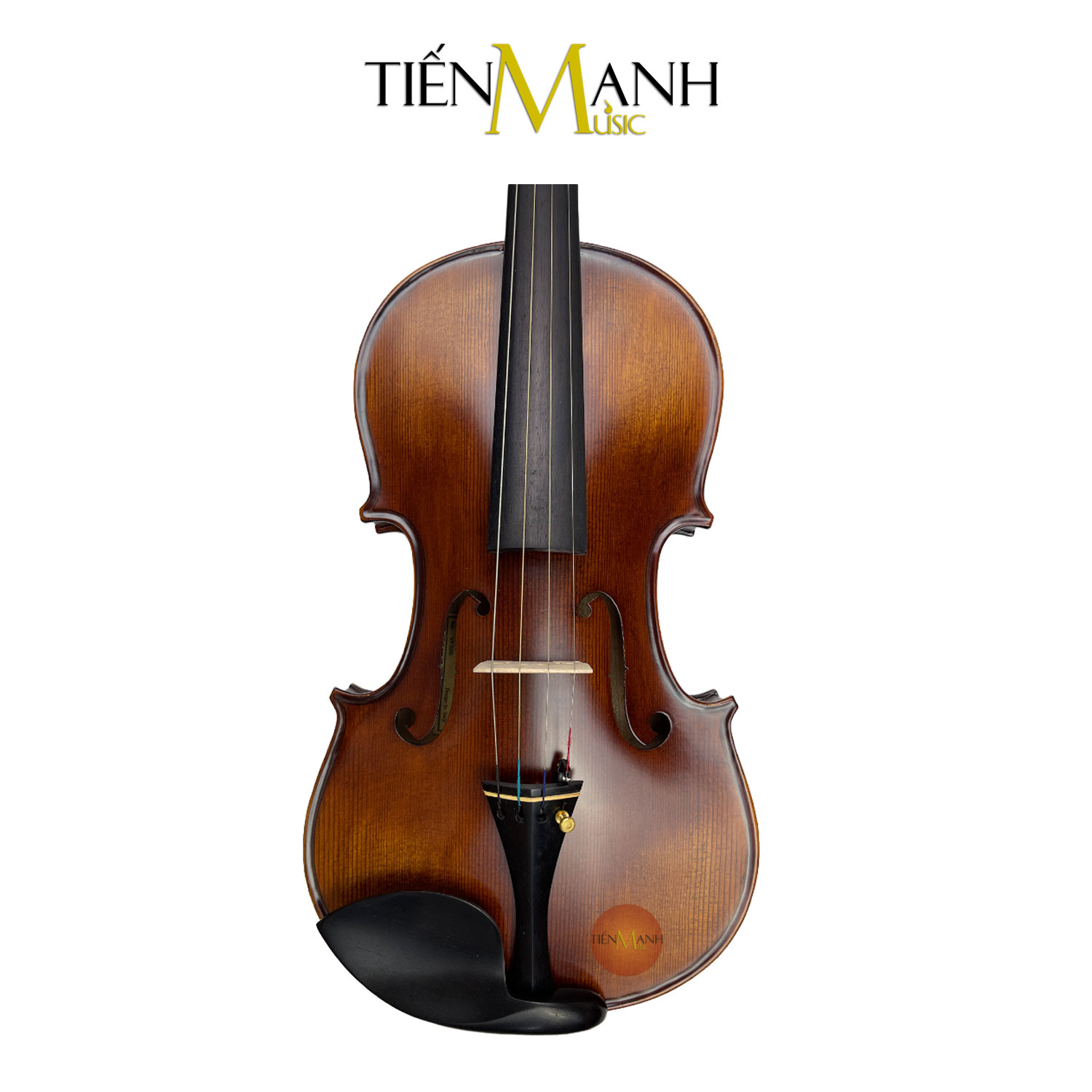 Kich-Thuoc-Dan-Violin-Amati-Van-That-VF300-4-4.jpg