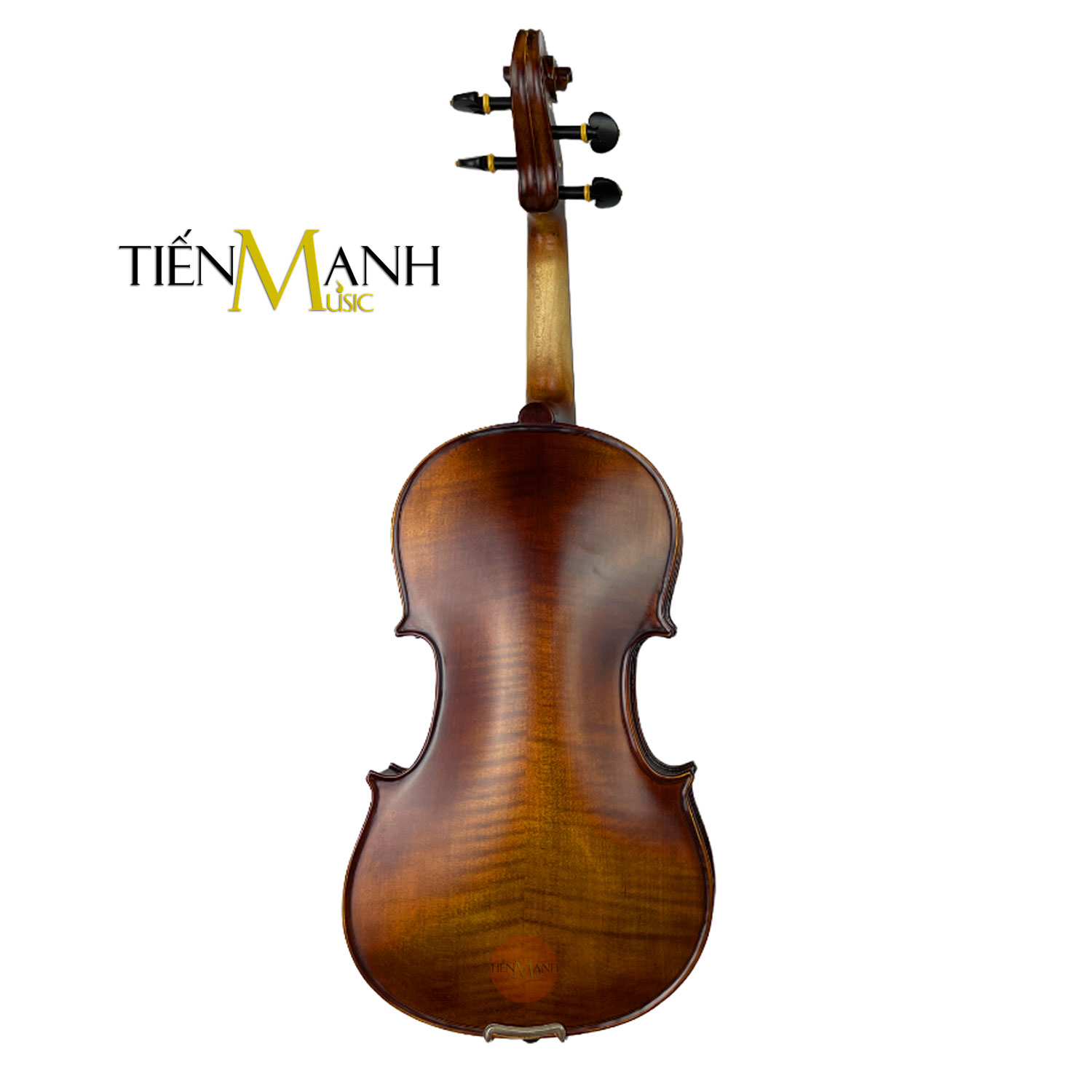 Kich-Thuoc-Dan-Violin-Amati-Van-That-VF300.jpg