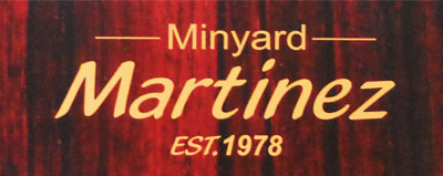 Logo-Dan-Guitar-Classic-Martinez-MCG-20SC-Logo.jpg