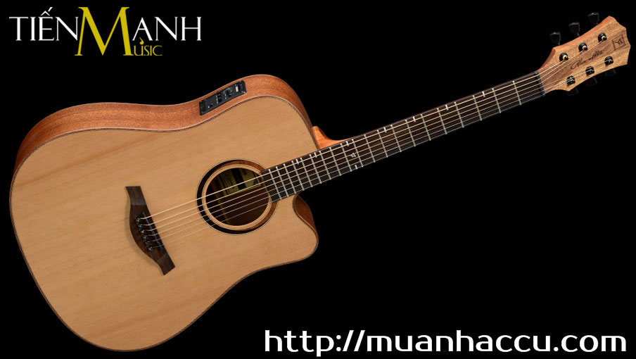 Mat-Dan-Guitar-Acoustic-Famosa-FD450CUE.jpg