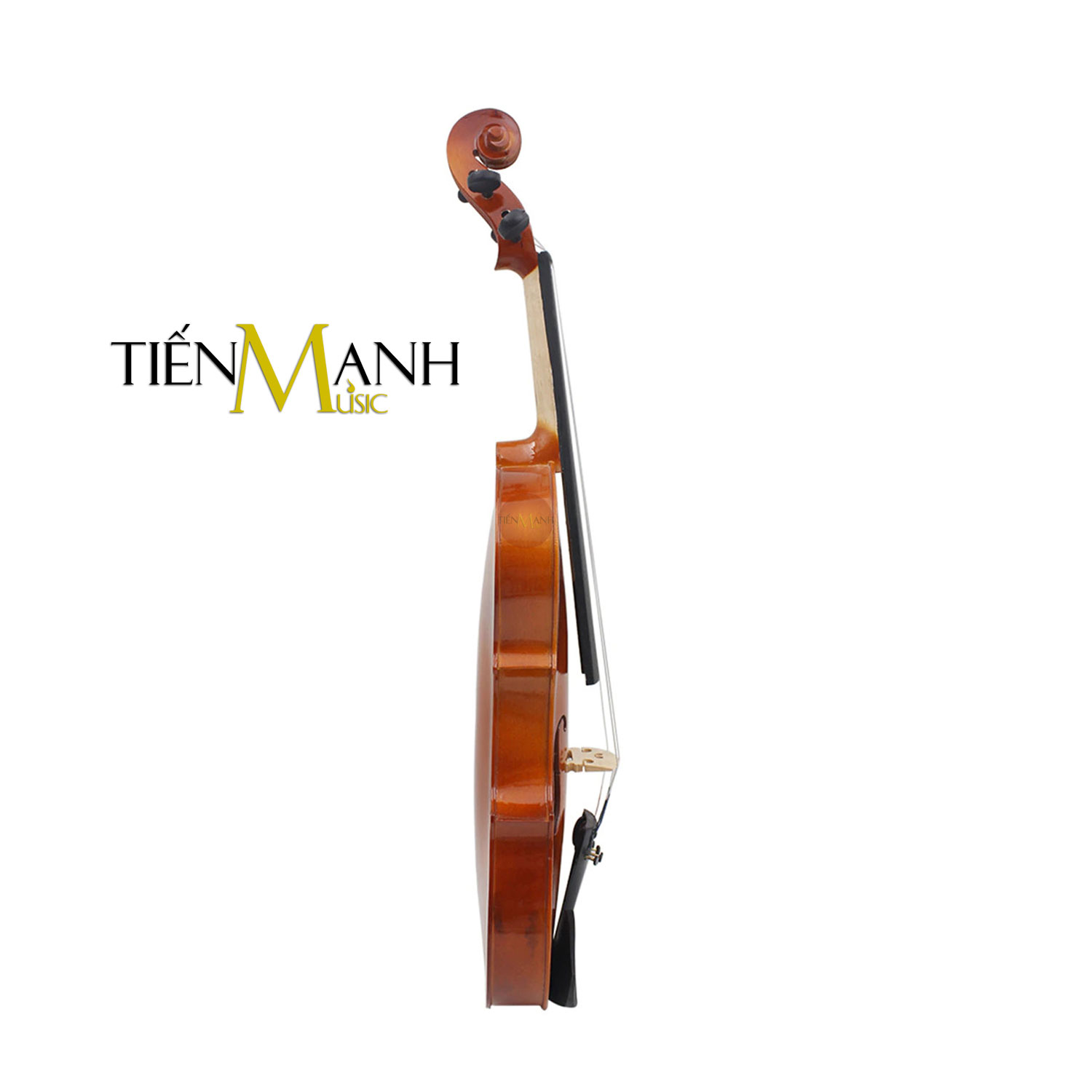 Mat-Dan-Violin-Omebo-RV205.jpg
