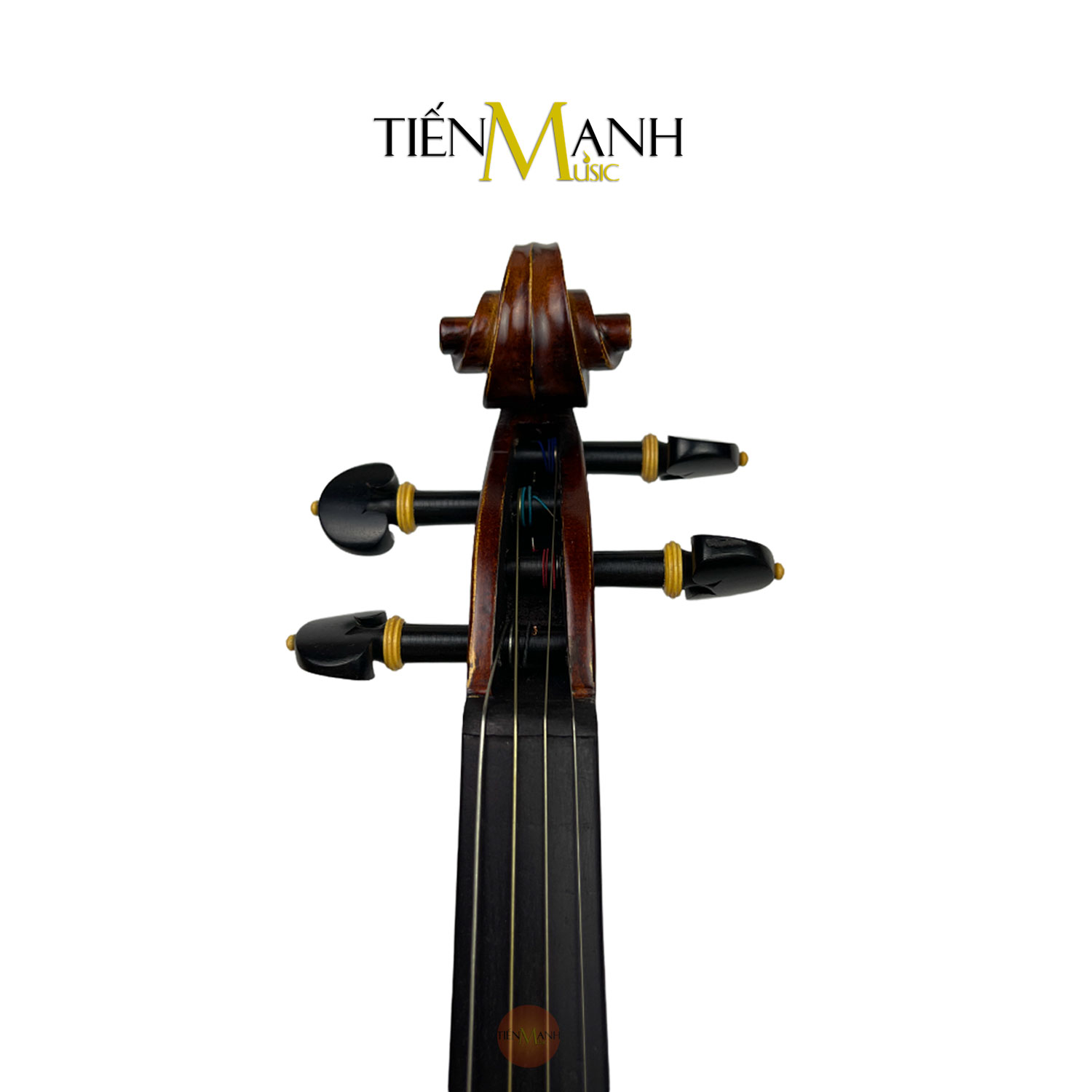 Mua-Dan-Violin-Amati-Van-Ve-VM118.jpg