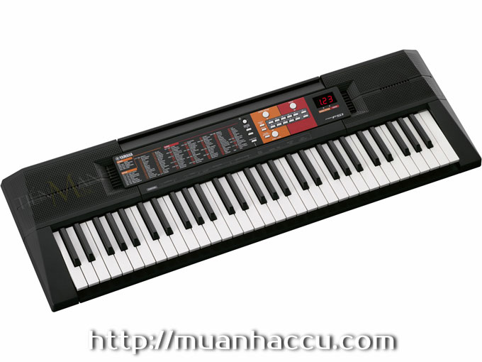 Nghieng-Dan-Organ-Yamaha-PSR-F51.jpg