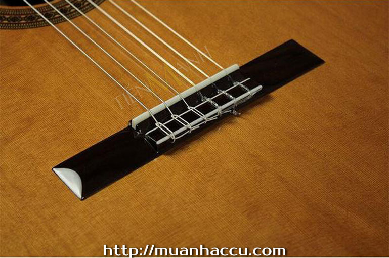 Ngua-Dan-Guitar-Classic-Famosa-FC-25C.jpg