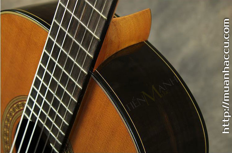 Phim-Dan-Guitar-Classic-Famosa-FC-25C.jpg