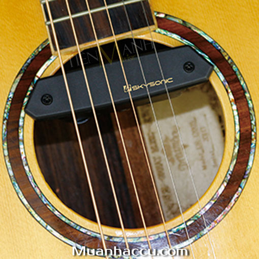 Setup-Acoustic-Guitar-Pickup-Skysonic-T-901.jpg