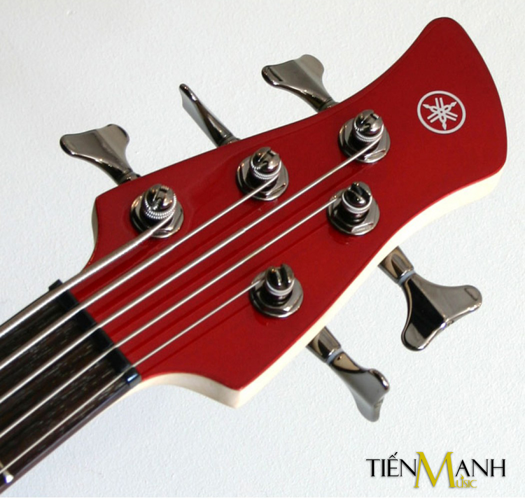 Tai-Khoa-Dan-Electric-Bass-Guitar-Yamaha-TRBX305-CAR.jpg