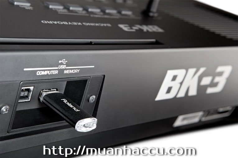 USB-Dan-Organ-Roland-BK-3.jpg