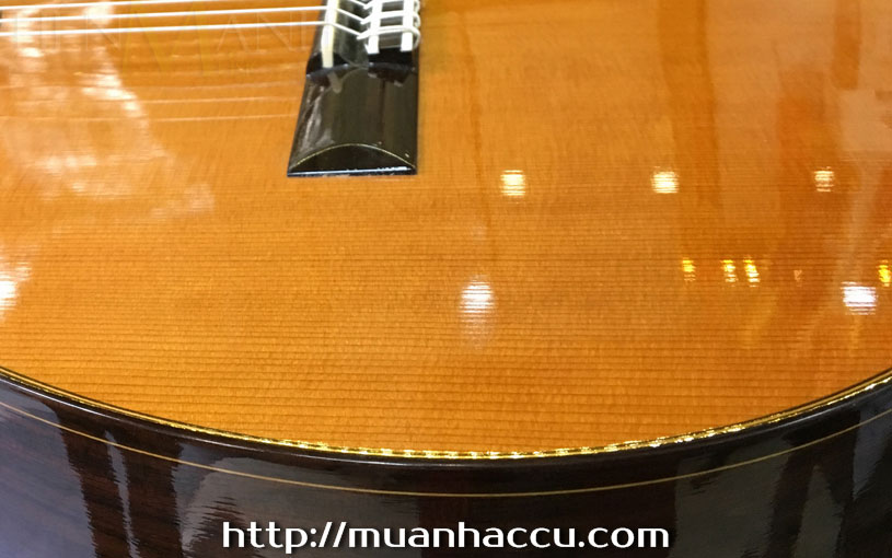 Van-go-Dan-Guitar-Classic-Martinez-MCG-65C-CE.jpg