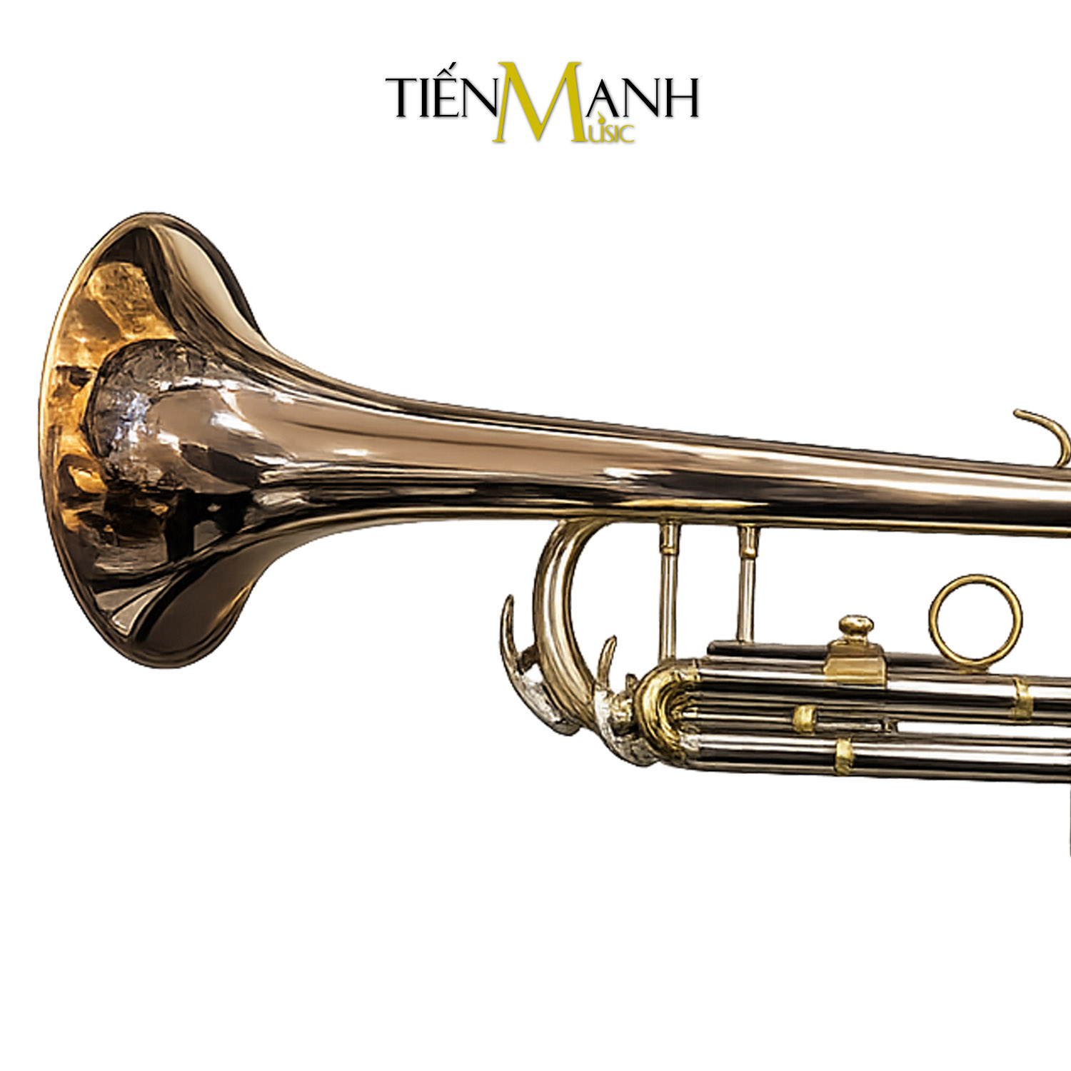 amati-tr-300.jpg