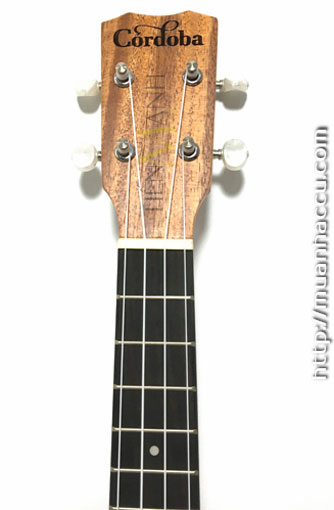 can-dan-ukulele-cordoba-tenor-ukt30.jpg