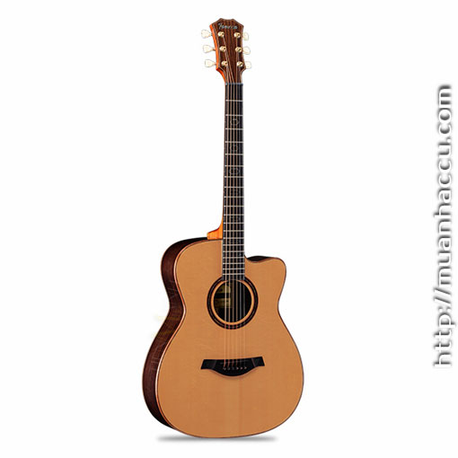 mat-truoc-dan-guitar-acoustic-famosa-ff685-cu.jpg