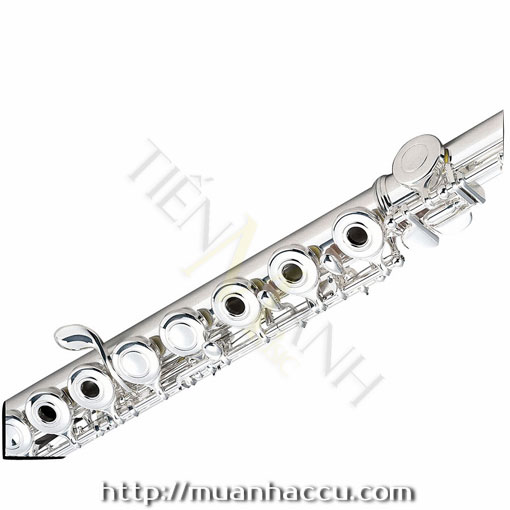 phim-bam-sao-flute-yamaha-yfl281.jpg