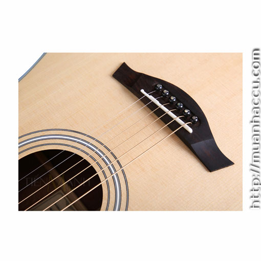 thung-dan-guitar-acoustic-famosa-d3sunm.jpg